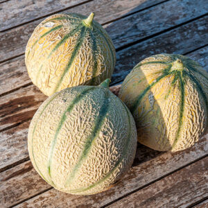 Melons - Pièce