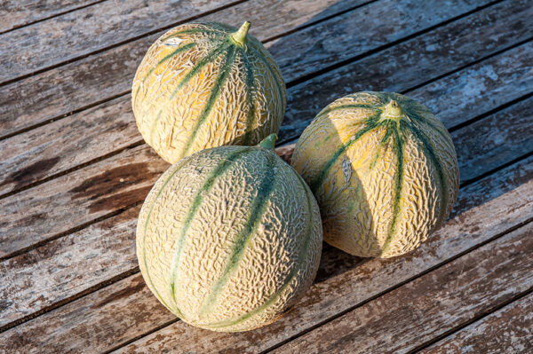 Melons - Pièce