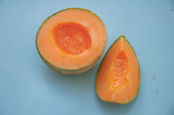 Melons - Pièce – Image 2