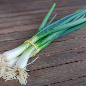 Oignons nouveaux - botte