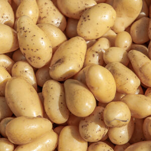 Pommes de terre nouvelles - 500g