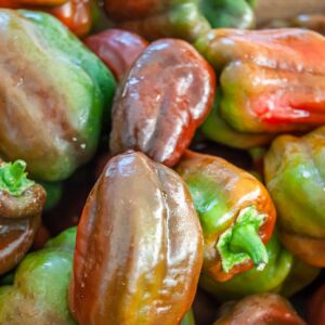Poivrons - 500g