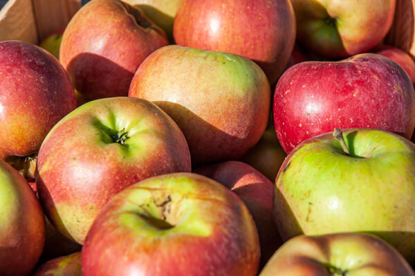 Pommes - 500g
