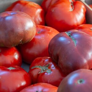 Tomates anciennes - 500g