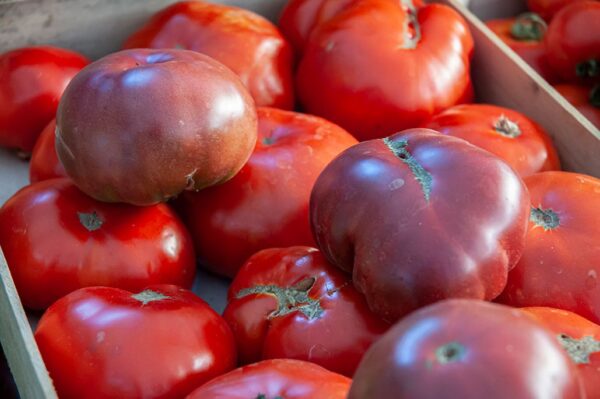 Tomates anciennes - 500g