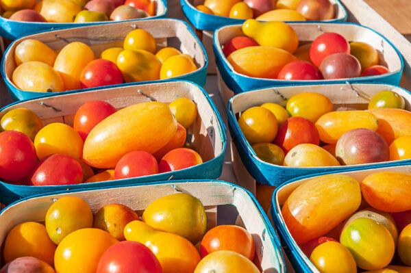 Tomates cerises - barquette