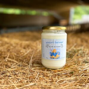 Yaourts fermiers au lait de brebis