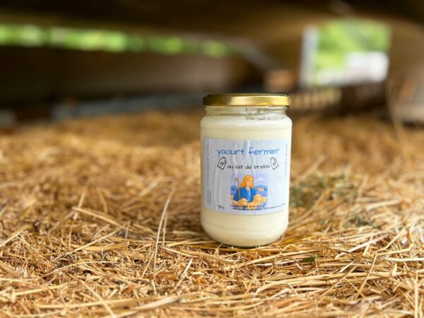 Yaourts fermiers au lait de brebis