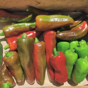 Piments Gorria - 100g