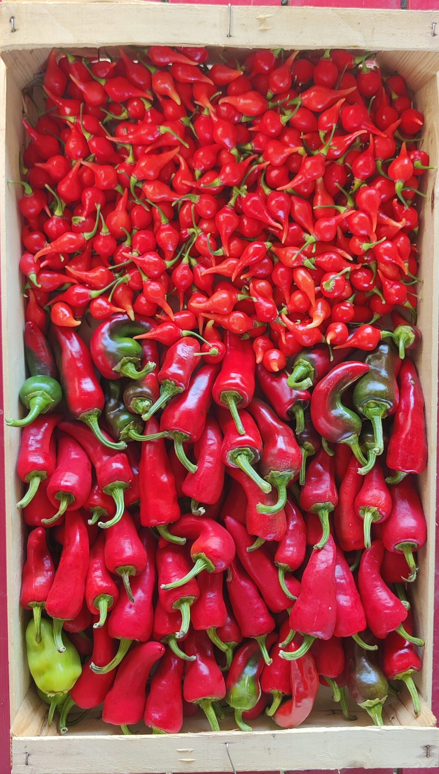Piments
