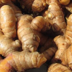 Curcuma- 100g